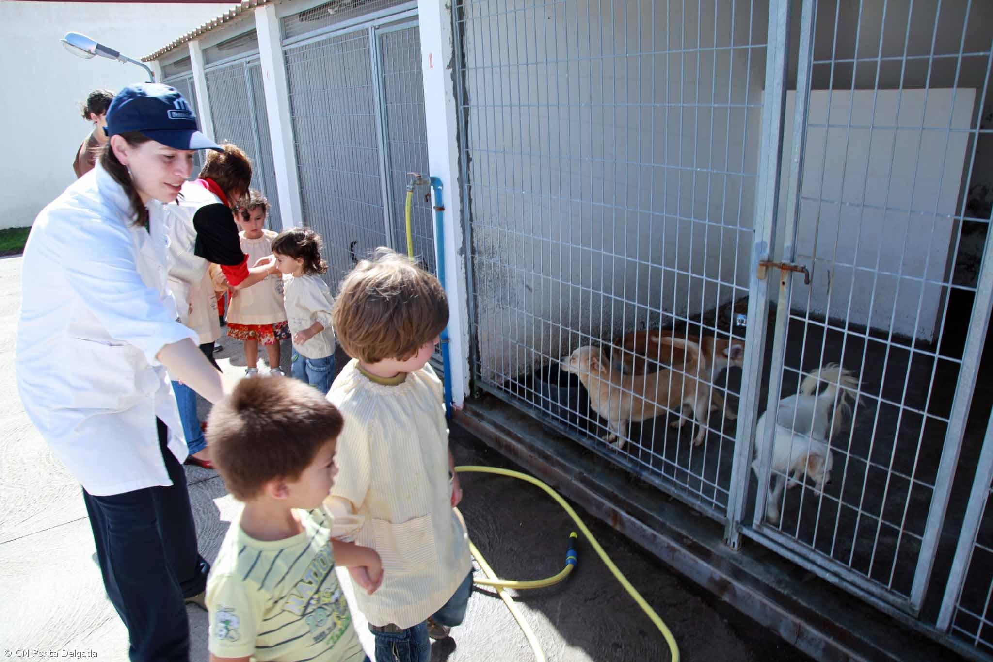  Canil de Ponta Delgada promove campanha de adoção  – Imagem 1