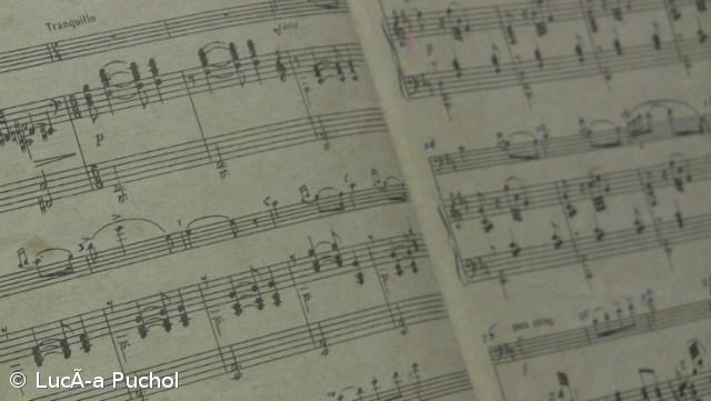 Setúbal recebe o V Encontro Internacional da Música Ibero-Americana em junho de 2019 – Imagem 1