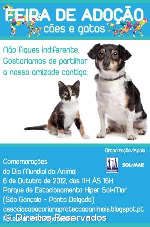 Feira de adoção no sábado – Imagem 1