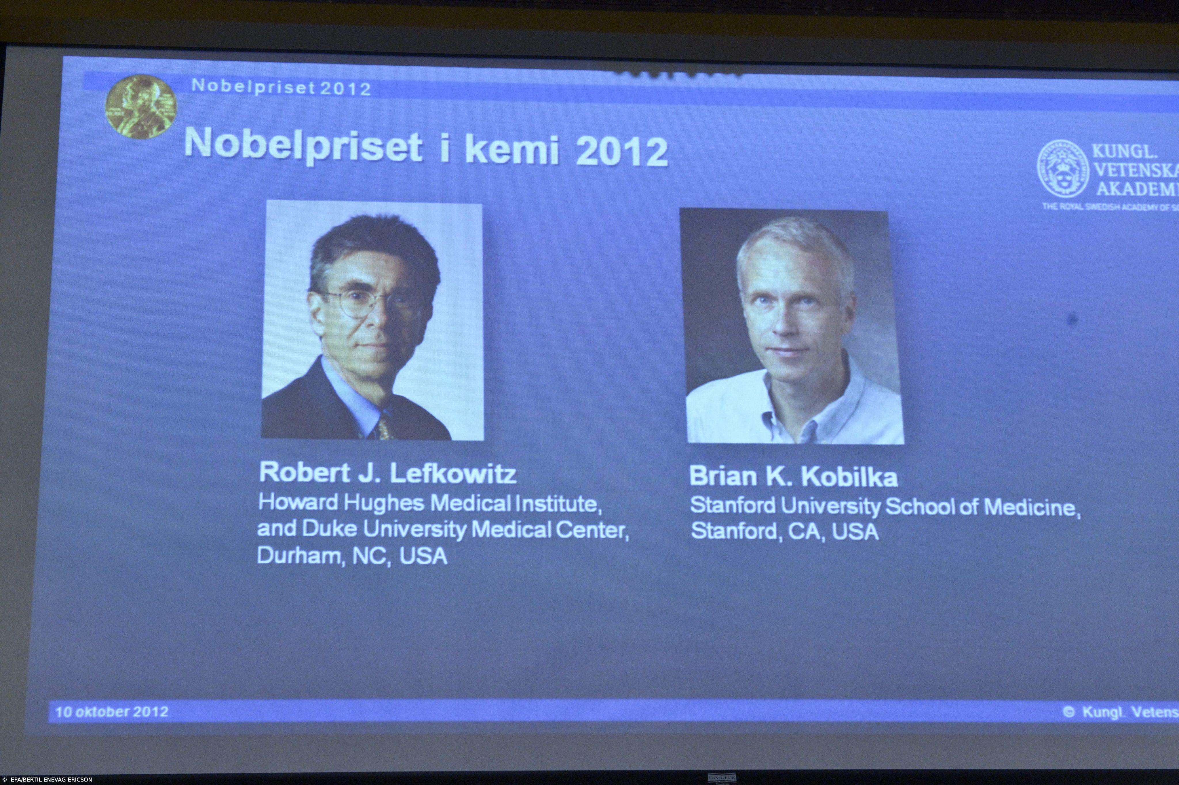 Nobel da Química distingue Robert J. Lefkowitz e Brian K. Kobilka – Imagem 1