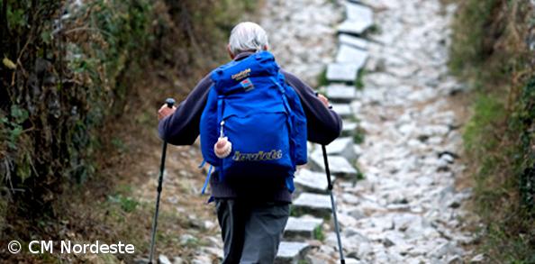 Caminho de Santiago na galeria do município de Nordeste – Imagem 1