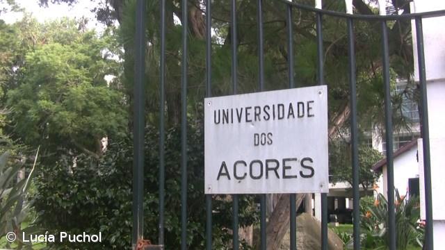 Universidade dos Açores avança com revisão de estatutos – Imagem 1