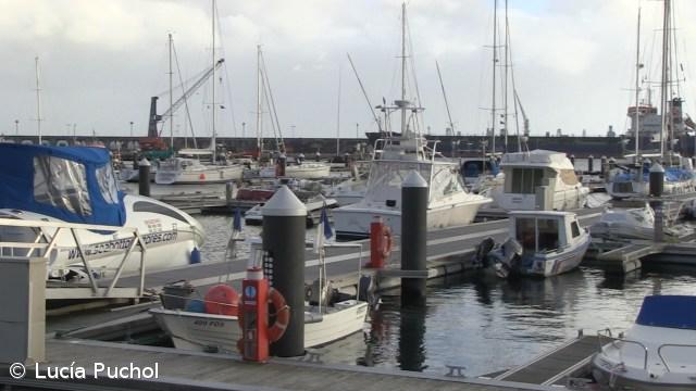 Mar deve ser pensado para lá da gestão das pescarias – Imagem 1