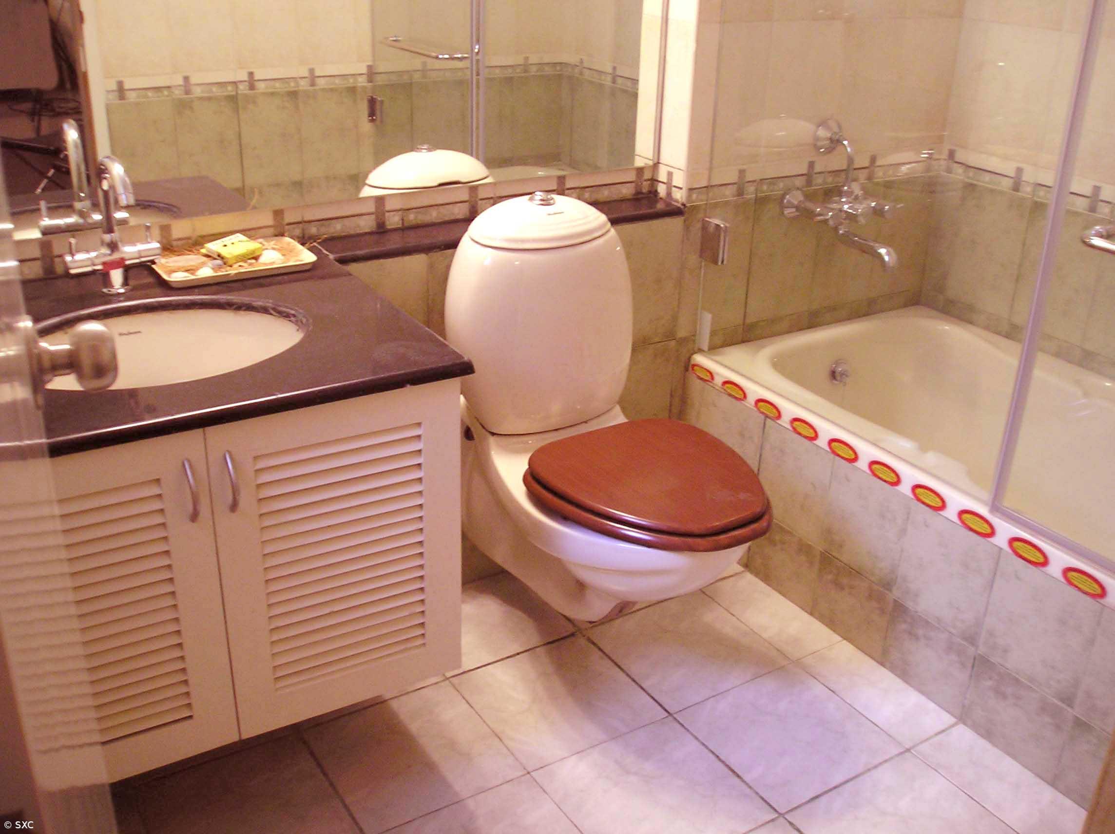 Mais de 2,7 milhões morrem anualmente de doenças relacionadas com falta de casas de banho – Imagem 1