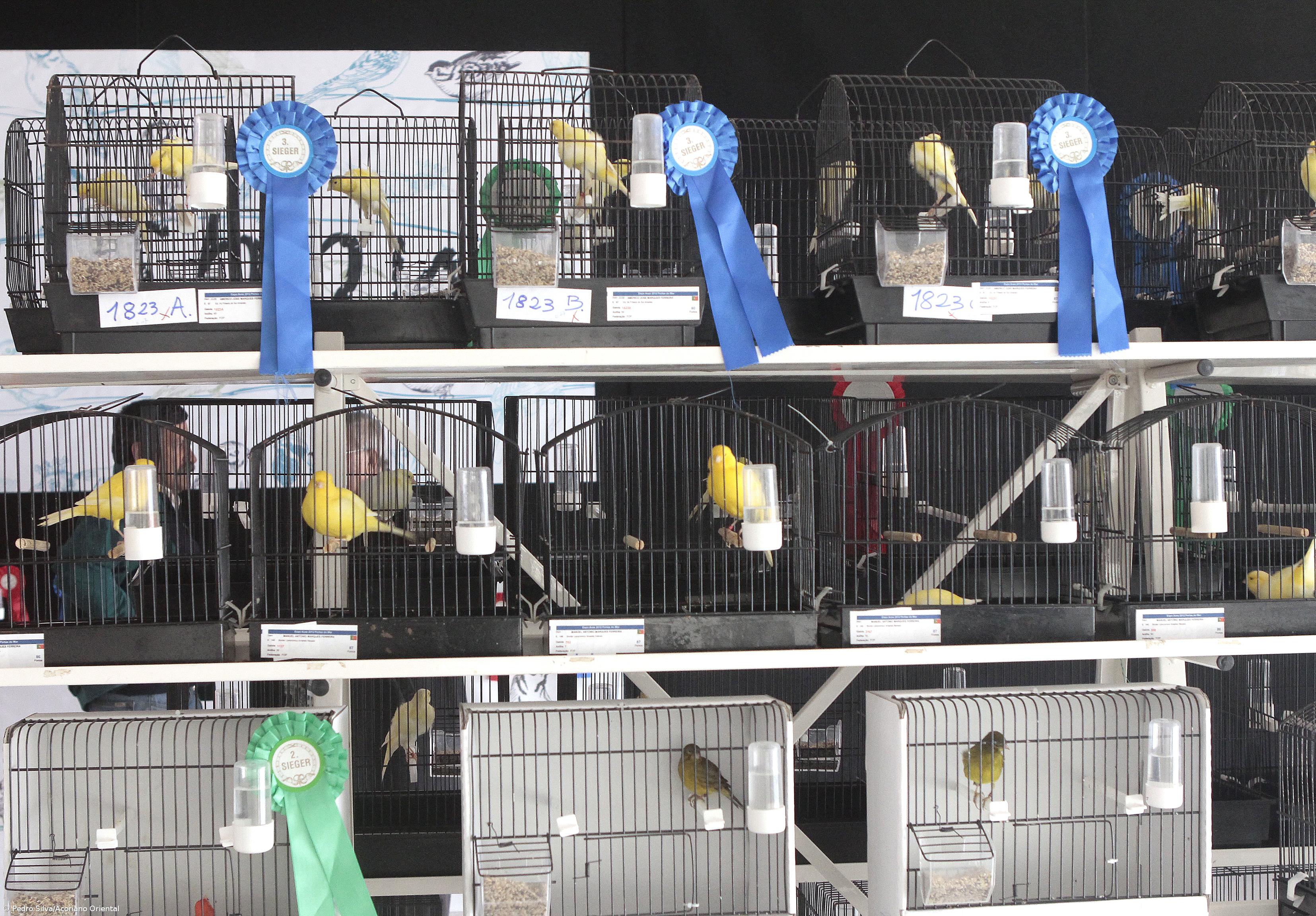 800 aves em exposição no Pavilhão do Mar – Imagem 1