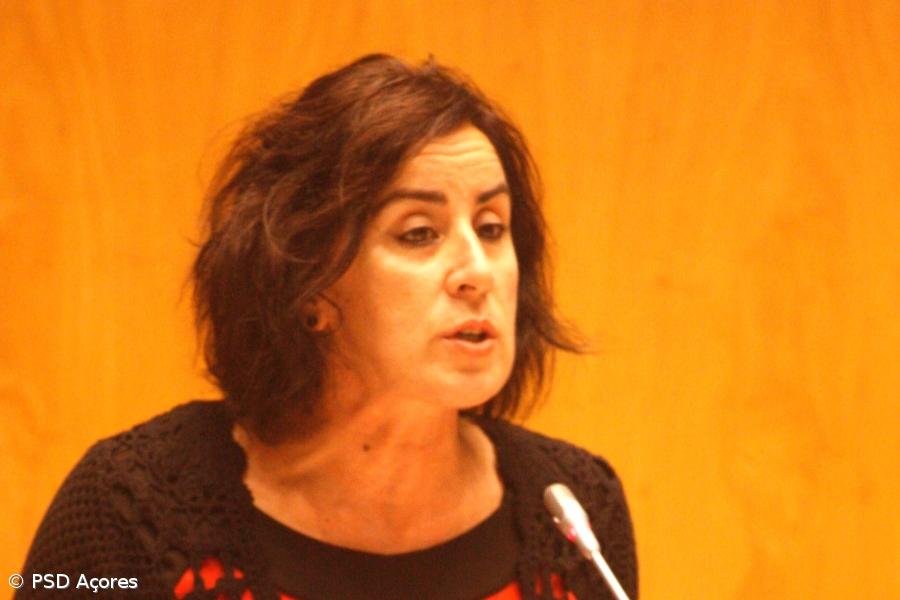 PSD denuncia "atrasos na atribuição e pagamento de Bolsas de Estudo" – Imagem 1