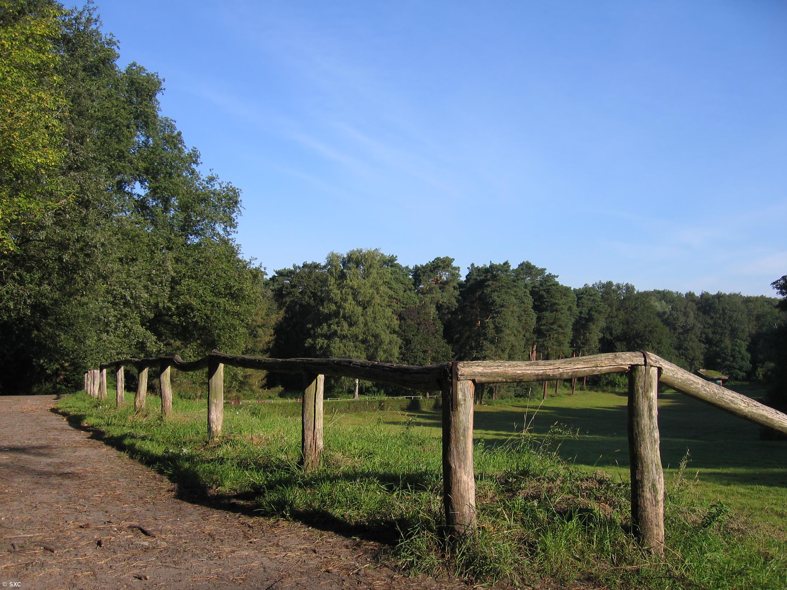 Passar quatro dias na natureza sem tecnologias aumenta criatividade em 50% – Imagem 1