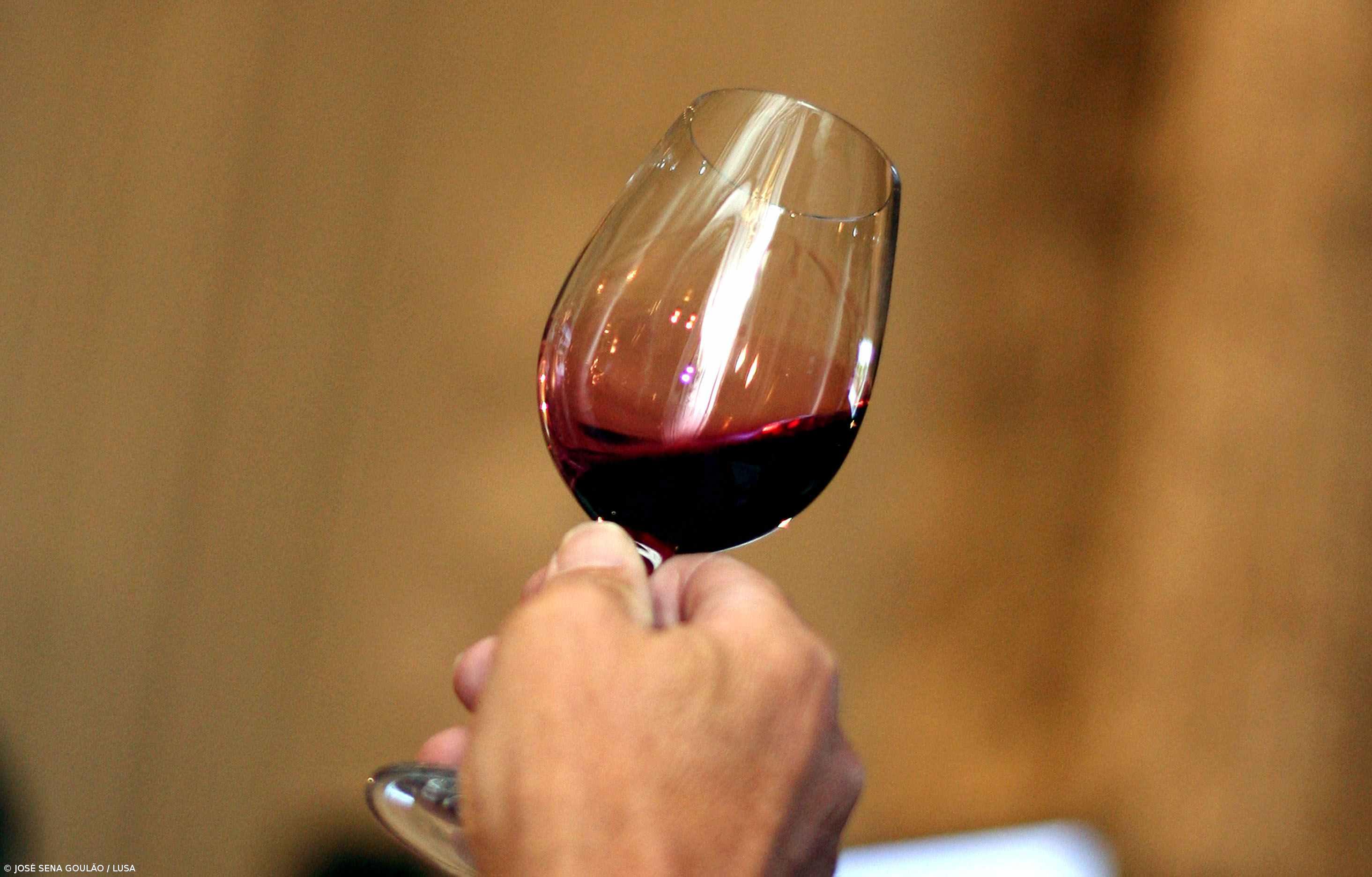 Laboratório Regional de Enologia promove ação de sensibilização “Como fazer vinho tinto”  – Imagem 1