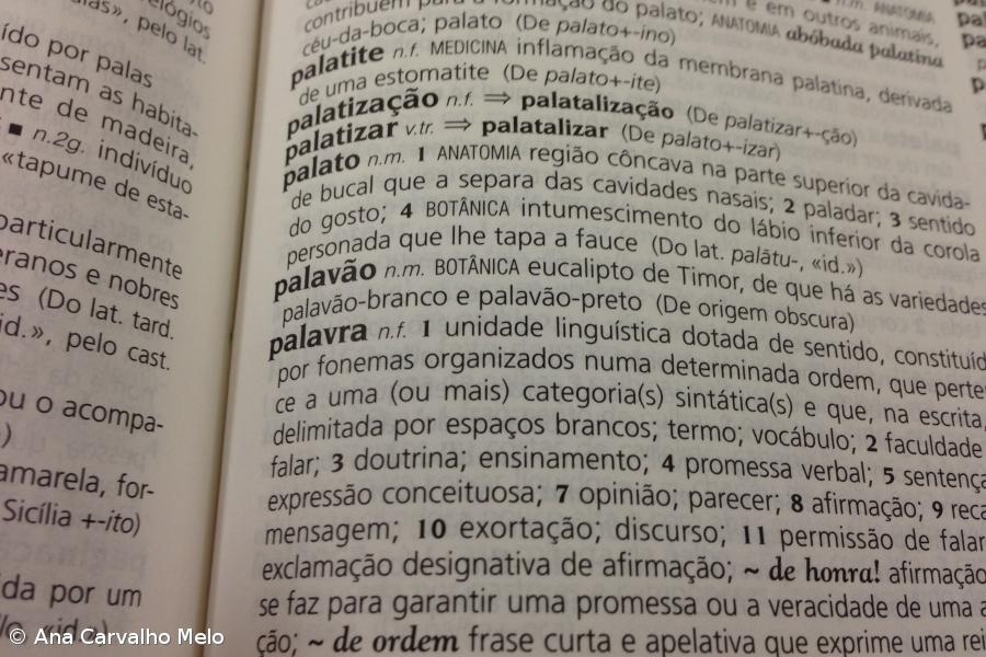 Grupo para avaliação do impacto do Acordo Ortográfico define calendário de trabalho – Imagem 1