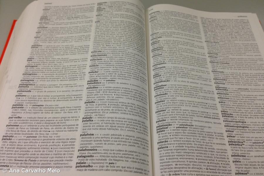 De "desinformação" a "violência" são dez as candidatas a Palavra do Ano 2019 – Imagem 1