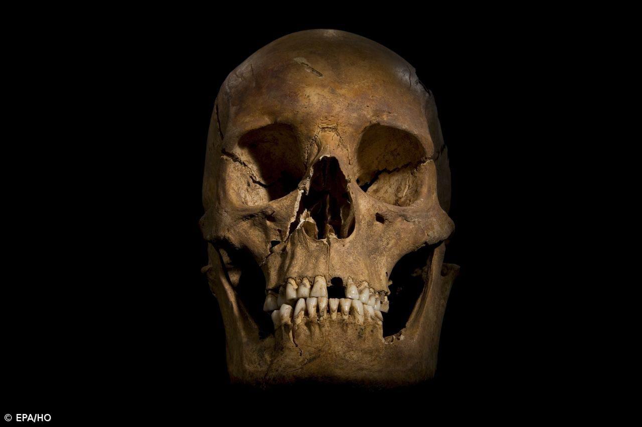 Esqueleto encontrado num estacionamento em Leicester é do rei Ricardo III – Imagem 1