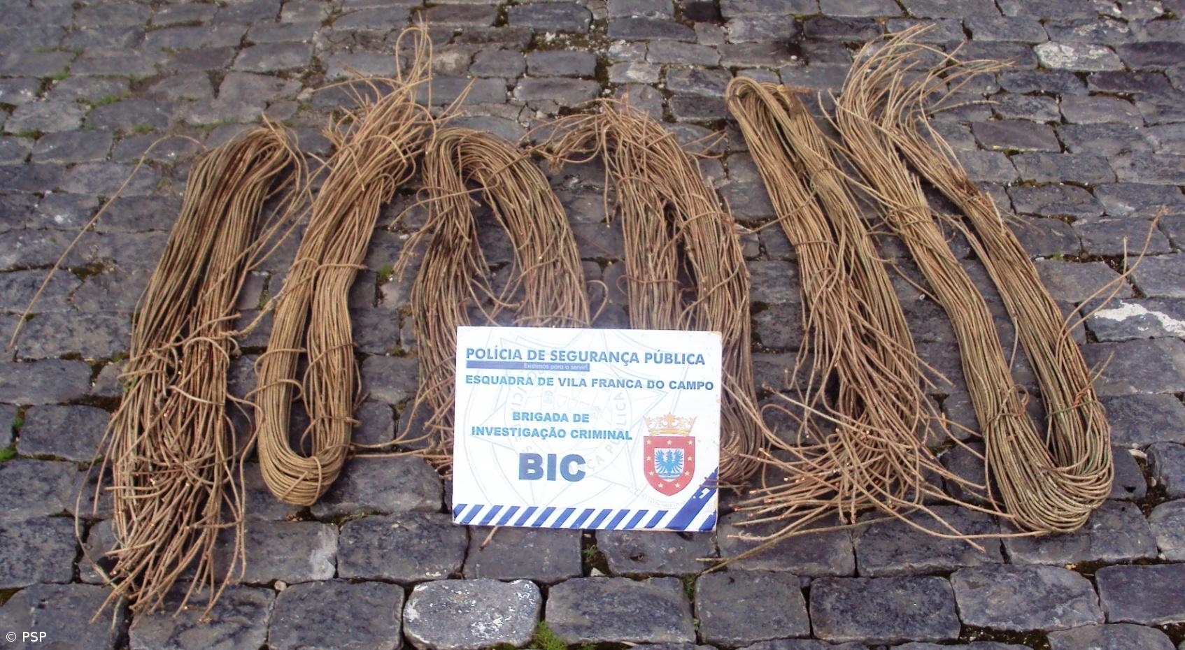 Três detenções por furto de cobre em Água d'Alto – Imagem 1
