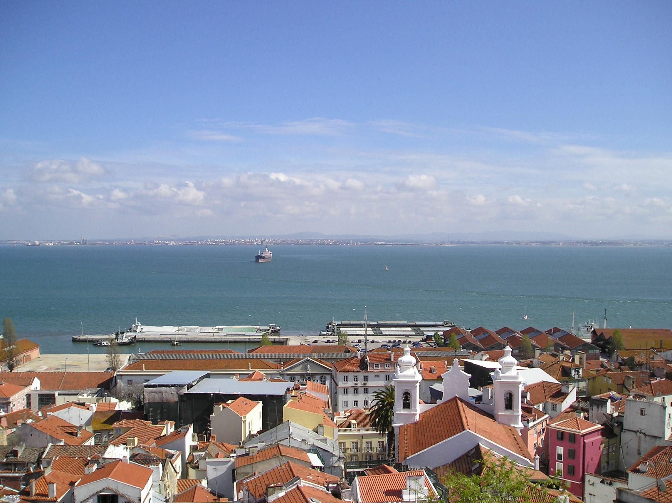 PEV coloca bandeira negra no Tejo em protesto com inação de Governo – Imagem 1