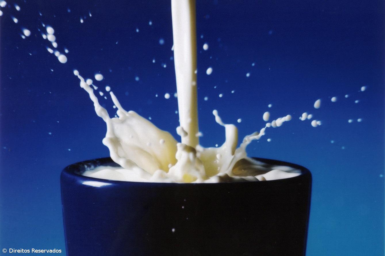 Preço do leite deverá manter-se em 2019  – Imagem 1