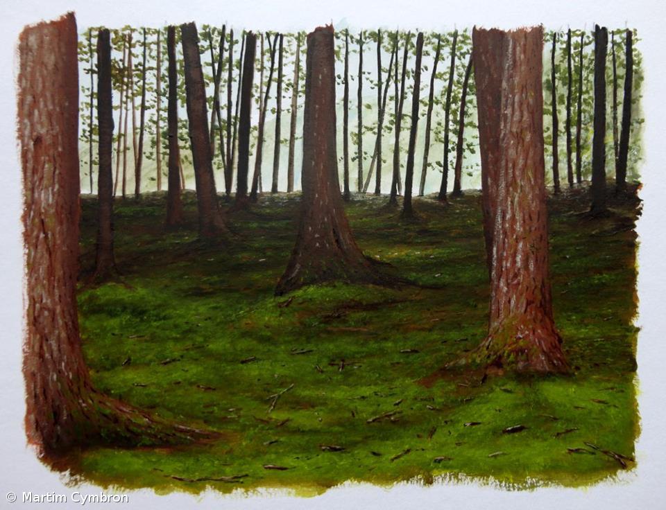 Martim Cymbron expõe "Recantos da Ilha - Aguarelas" – Imagem 1