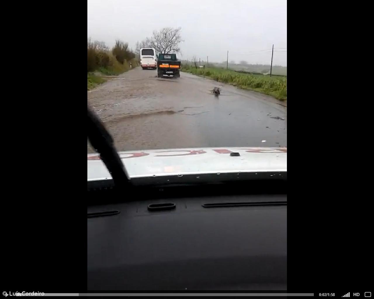 Caminho da Vigia das Feteiras inundado (vídeo) – Imagem 1