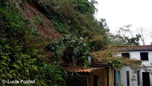 Derrocada nas Capelas obrigou a evacuação de idosa (vídeo) – Imagem 1
