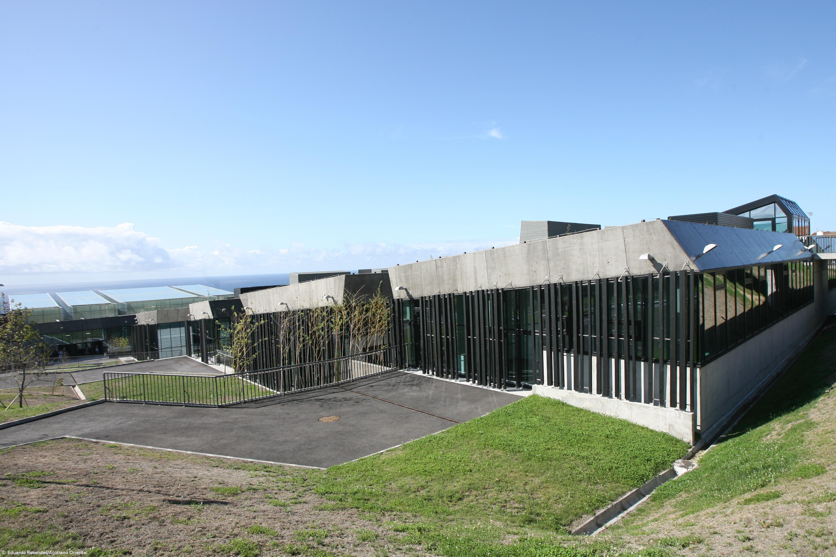 Alunos com apoio social nos Açores representam 65% do total – Imagem 1