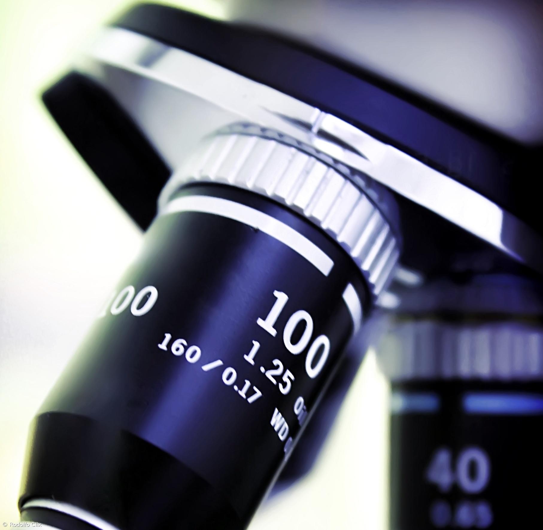 Descoberta nova espécie de bactéria por investigadores da Universidade dos Açores – Imagem 1