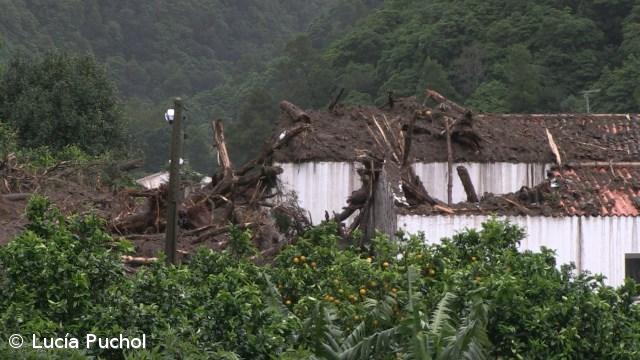Prejuízos do mau tempo ascendem a 35 milhões de euros – Imagem 1