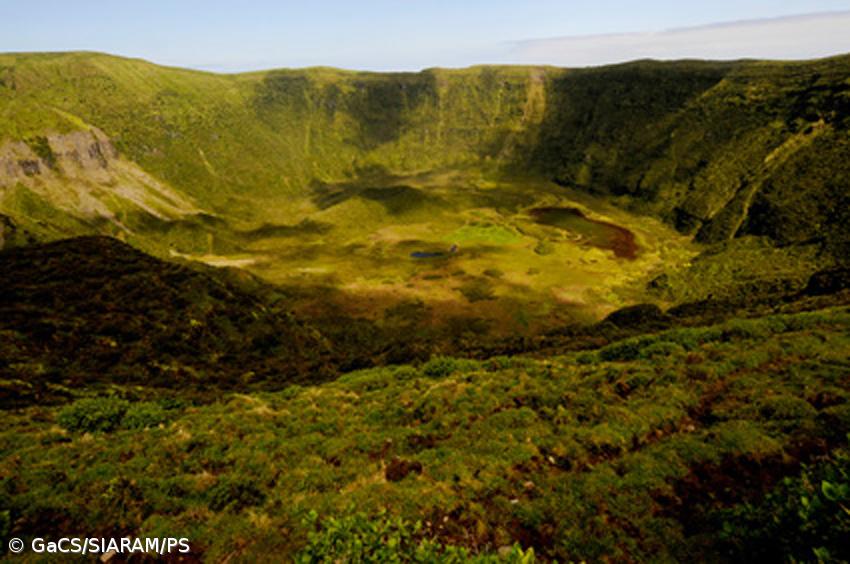 Parque Natural do Faial conquista prémio de Experiência de Natureza – Imagem 1