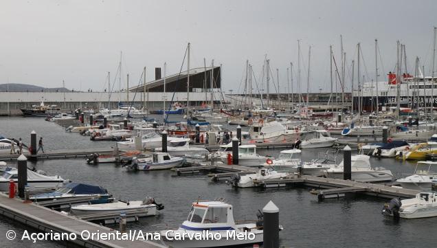Espécies marinhas invasoras ameaçam ecossistemas das ilhas açorianas – Imagem 1