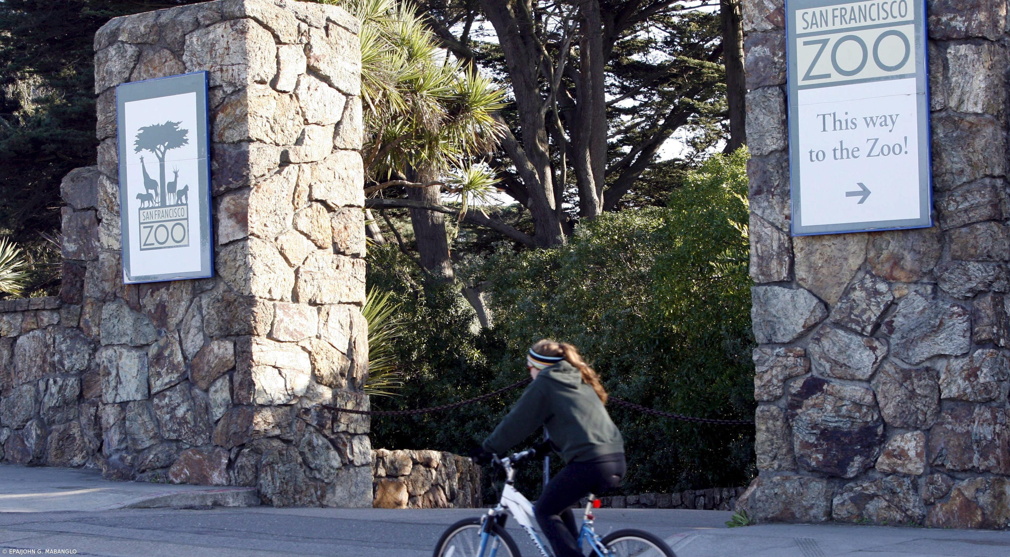 Jovem morto por tigre era descendente de açorianos – Imagem 1