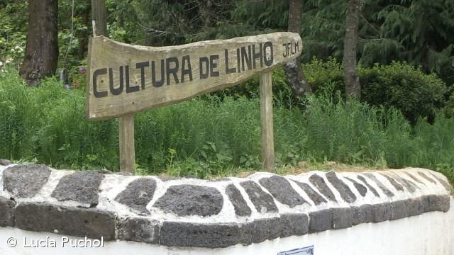 Mulheres com mais de 80 anos preservam cultura do linho  (vídeo) – Imagem 1