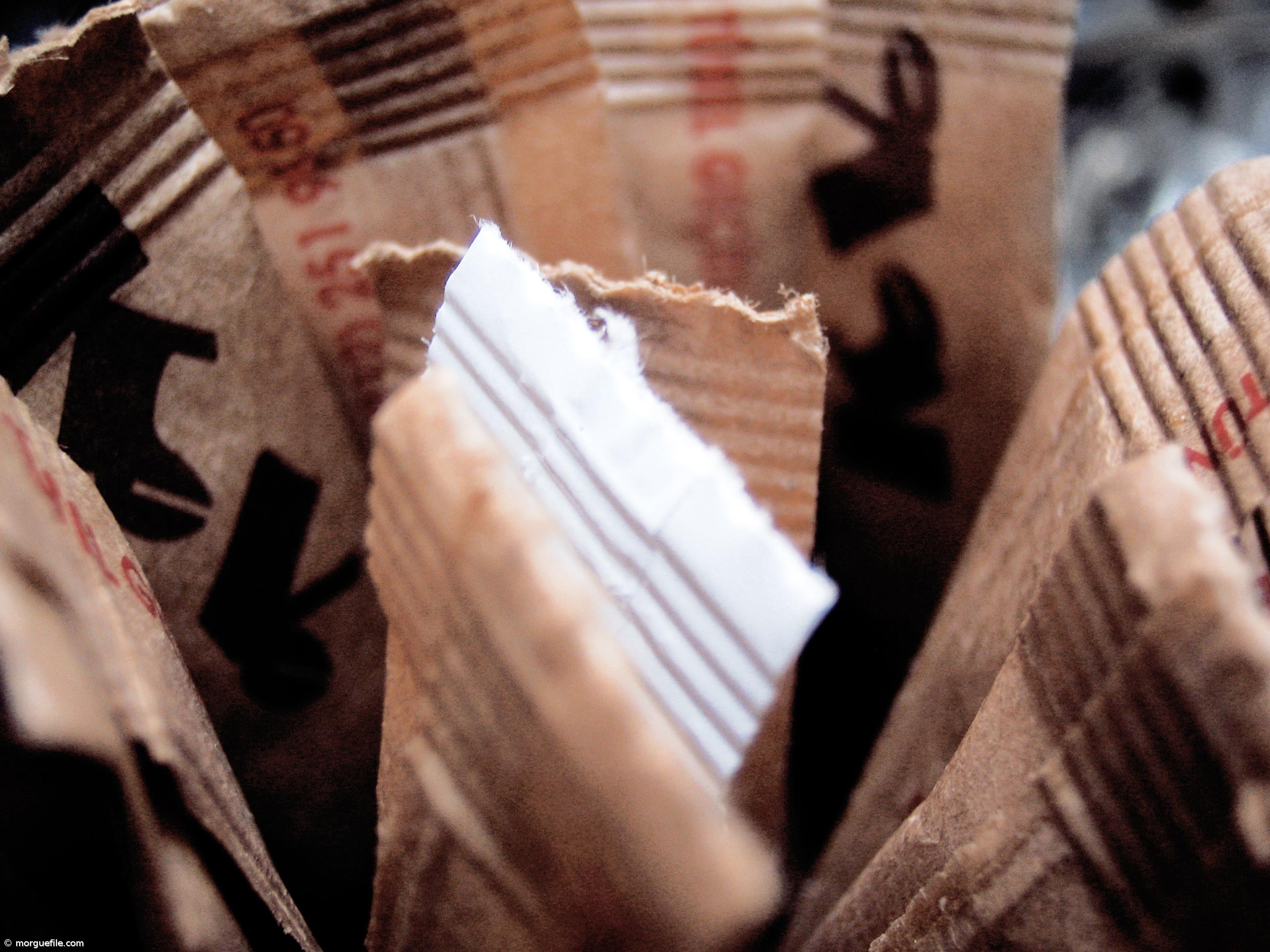 Estudo conclui que crianças e adolescentes são quem mais consome açúcar em Portugal – Imagem 1