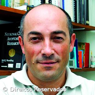 A Ciência como motor da Economia – Imagem 1