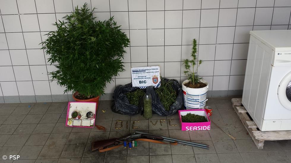 Homem detido por tráfico de droga em Ponta Garça – Imagem 1