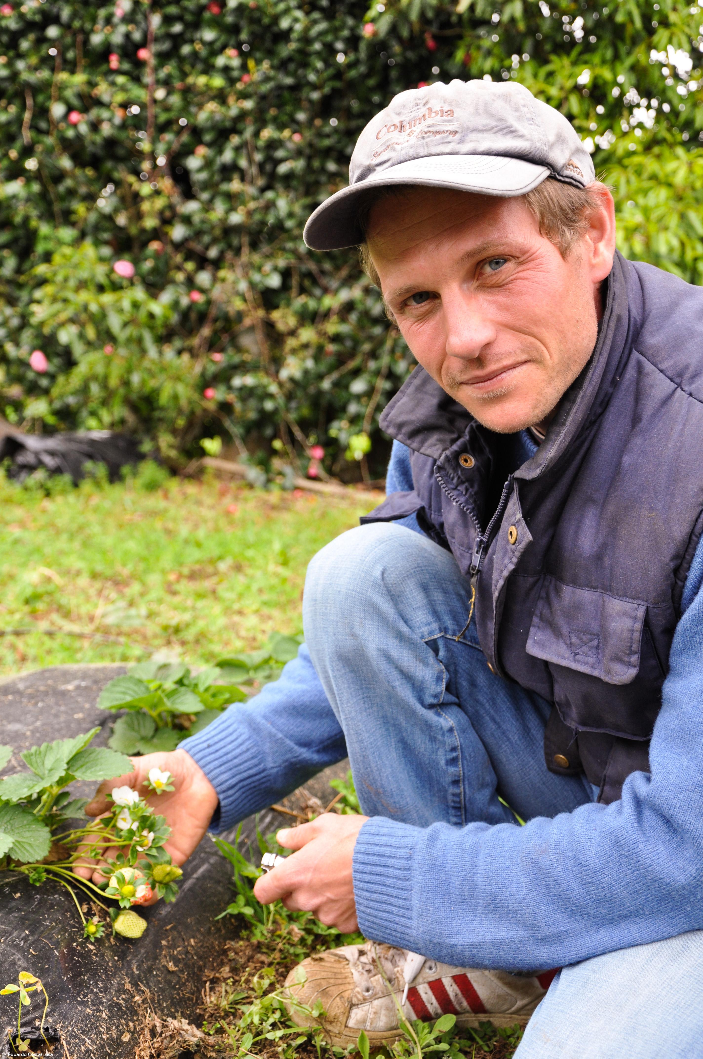 "Oficina agroalimentar" quer rentabilizar produtos excedentários na ilha de São Miguel – Imagem 1