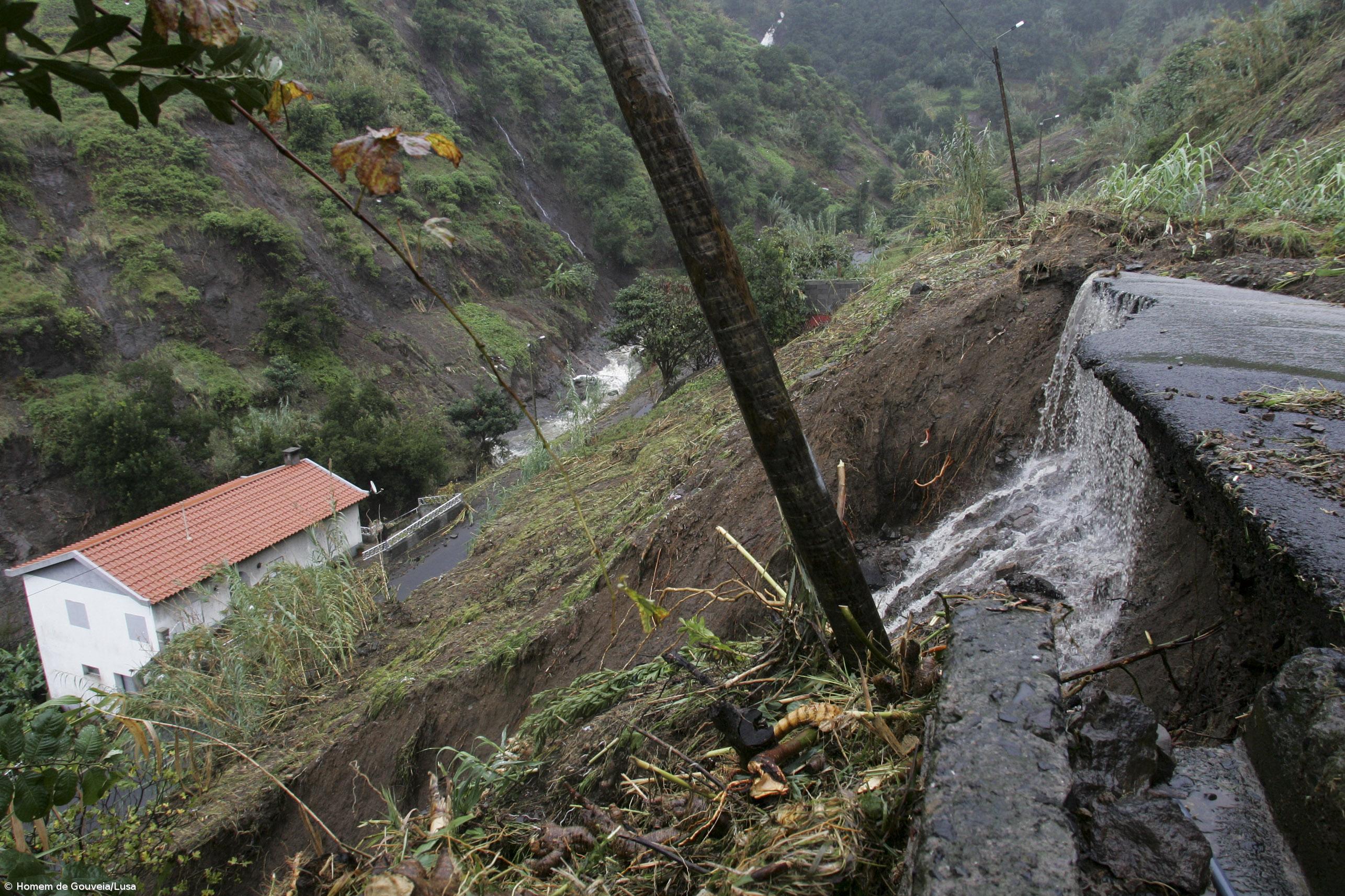 Derrocadas e queda de árvores na Madeira devido ao mau tempo – Imagem 1