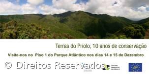Parque Atlântico apresenta exposição "Terras do Priolo, 10 anos de conservação" – Imagem 1