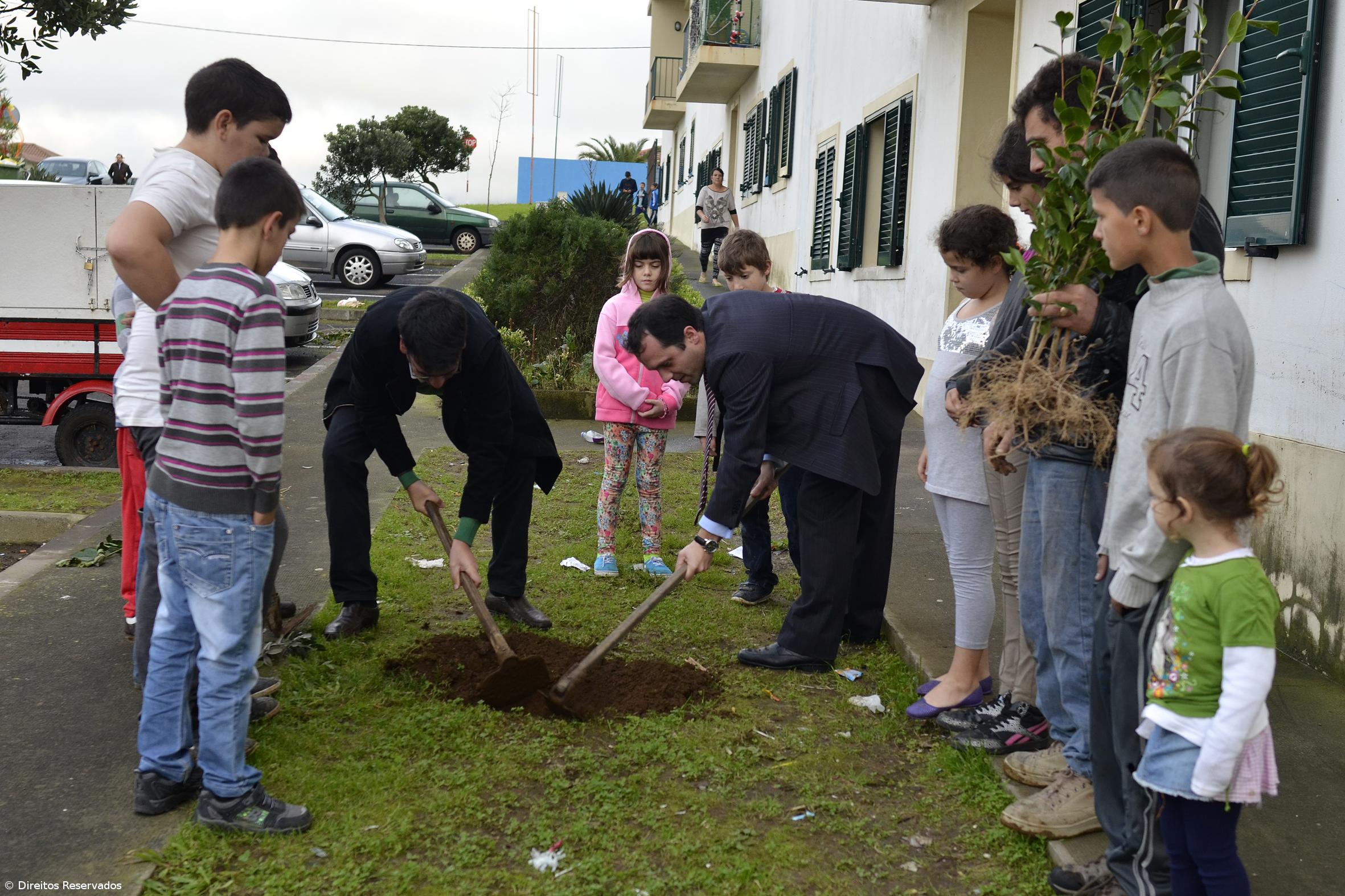 Jovens de Rabo de Peixe plantam flores e árvores – Imagem 1
