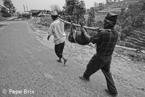 Pepe Brix expõe na Arco 8 – Imagem 1