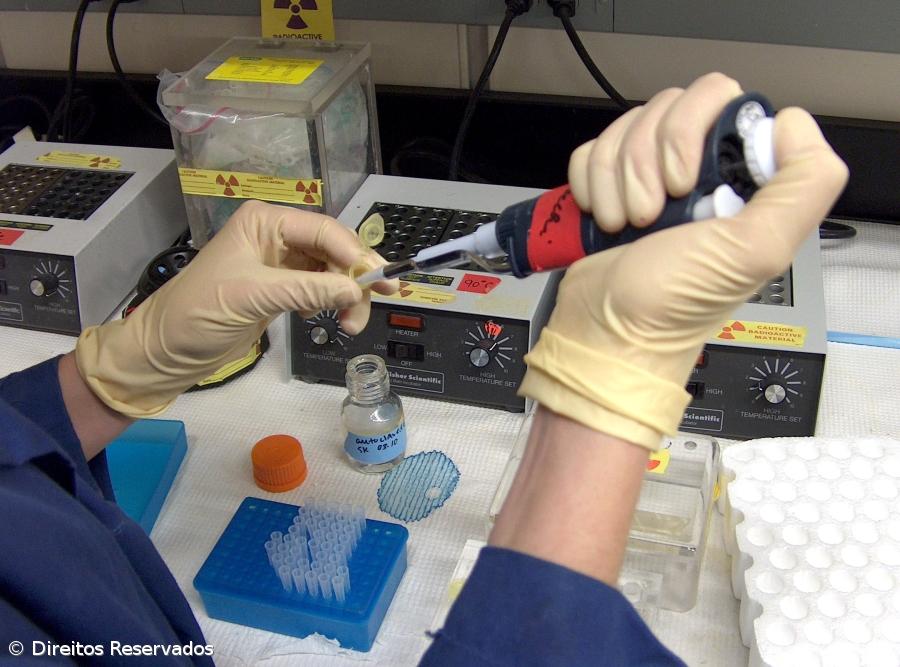 Nunca se esteve tão perto de erradicar a malária, mas percurso ainda é imenso – Imagem 1