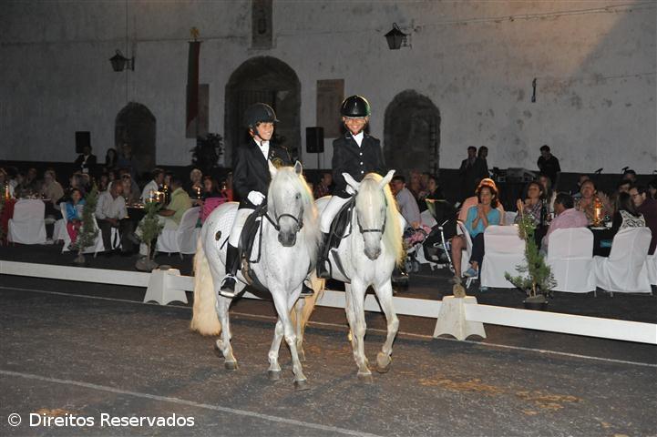Pónei da Terceira tem potencial nas escolas de equitação – Imagem 1