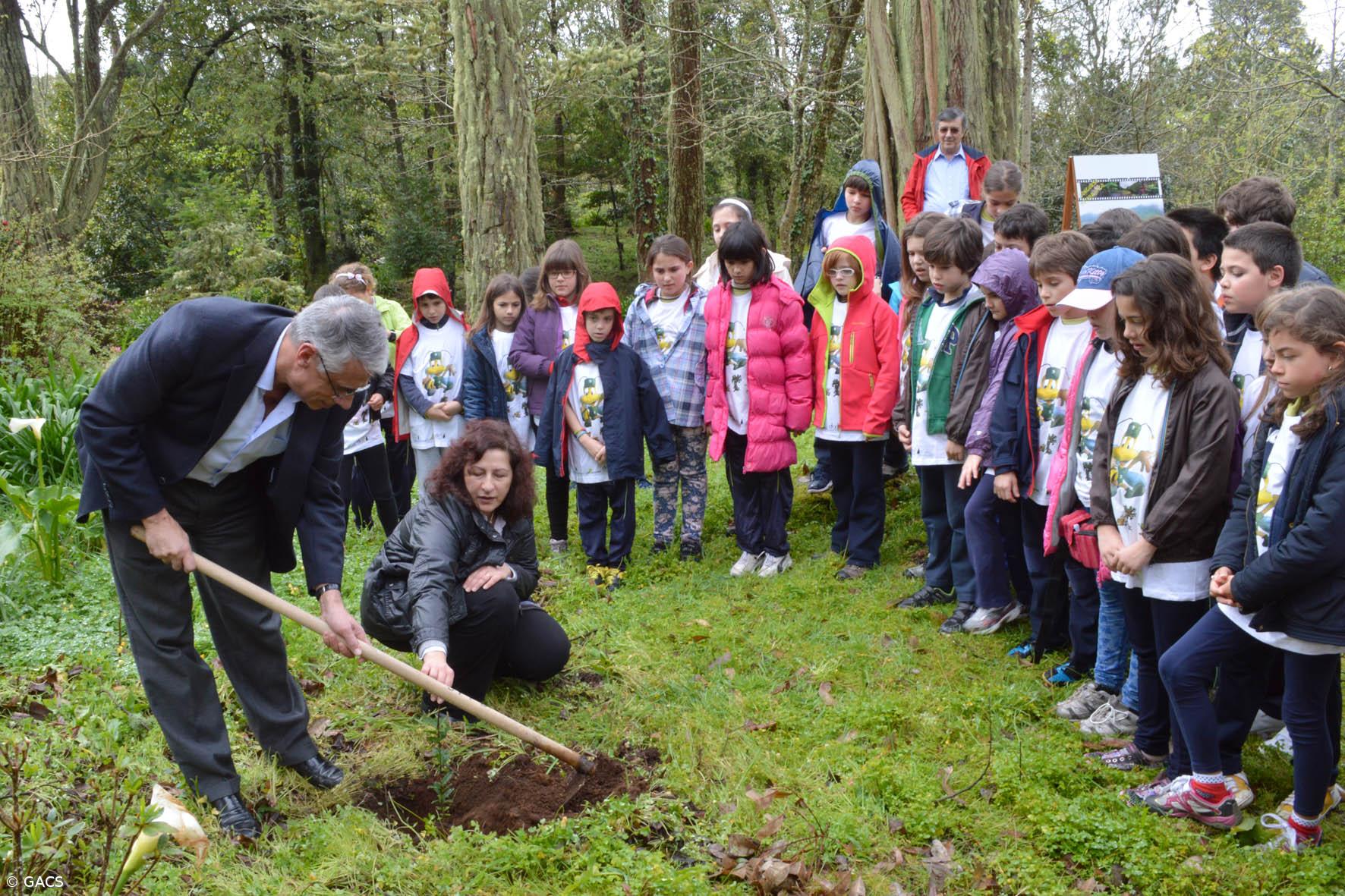 30 iniciativas envolveram 2600 participantes no Dia da Floresta nos Açores – Imagem 1