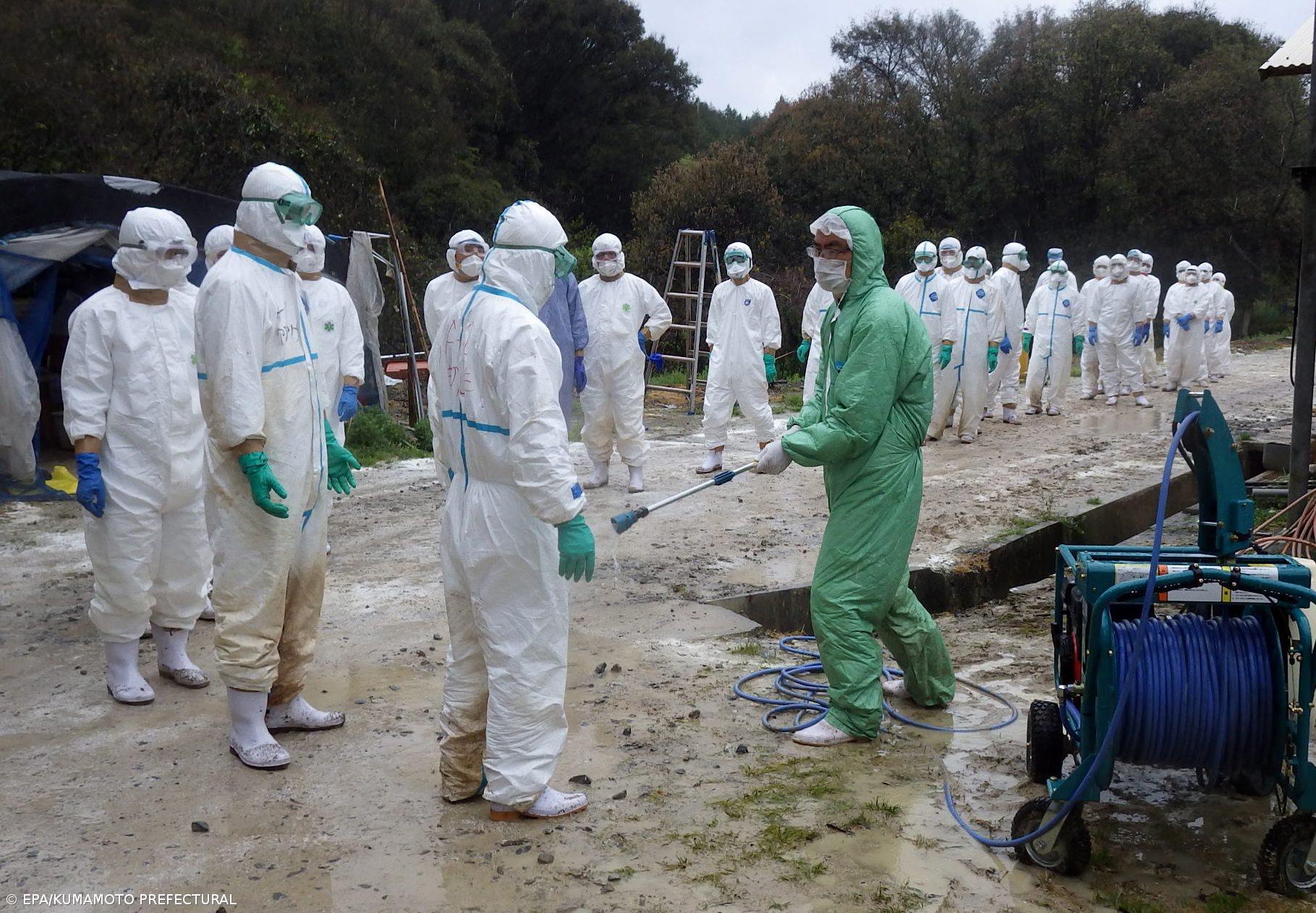 Japão deteta primeiros casos da nova estirpe provenientes do Reino Unido – Imagem 1