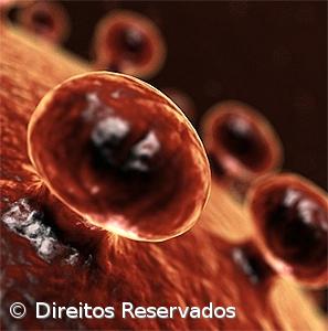 PCP denuncia espera de “vários meses” para tratar Hepatite C no Hospital de Braga – Imagem 1