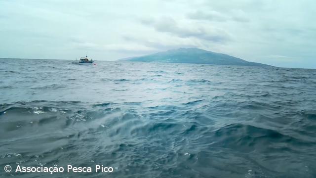 BBC filma no mar profundo dos Açores para série a exibir em 2017 – Imagem 1