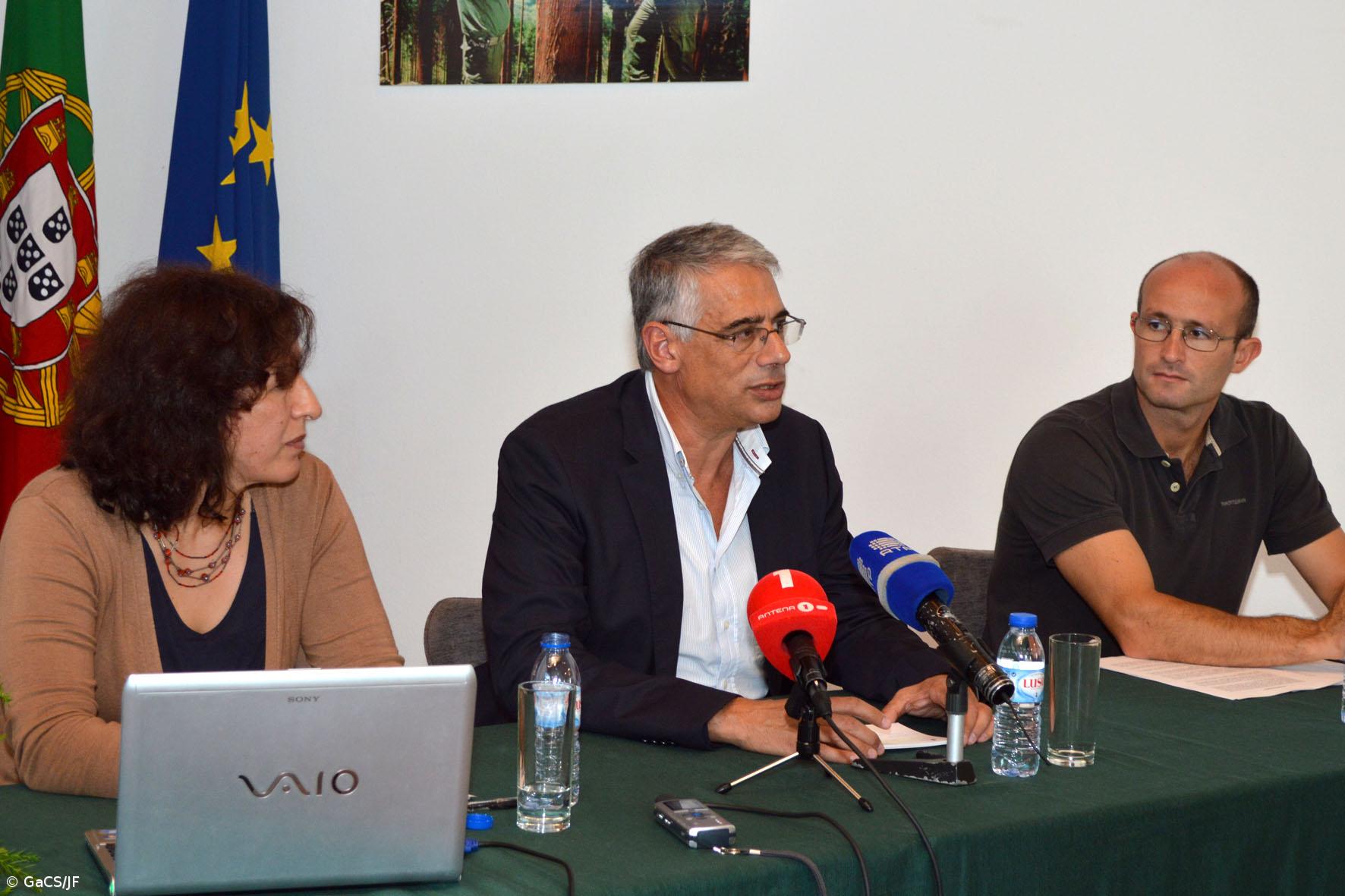 Região vai lançar marca "Floresta dos Açores" – Imagem 1