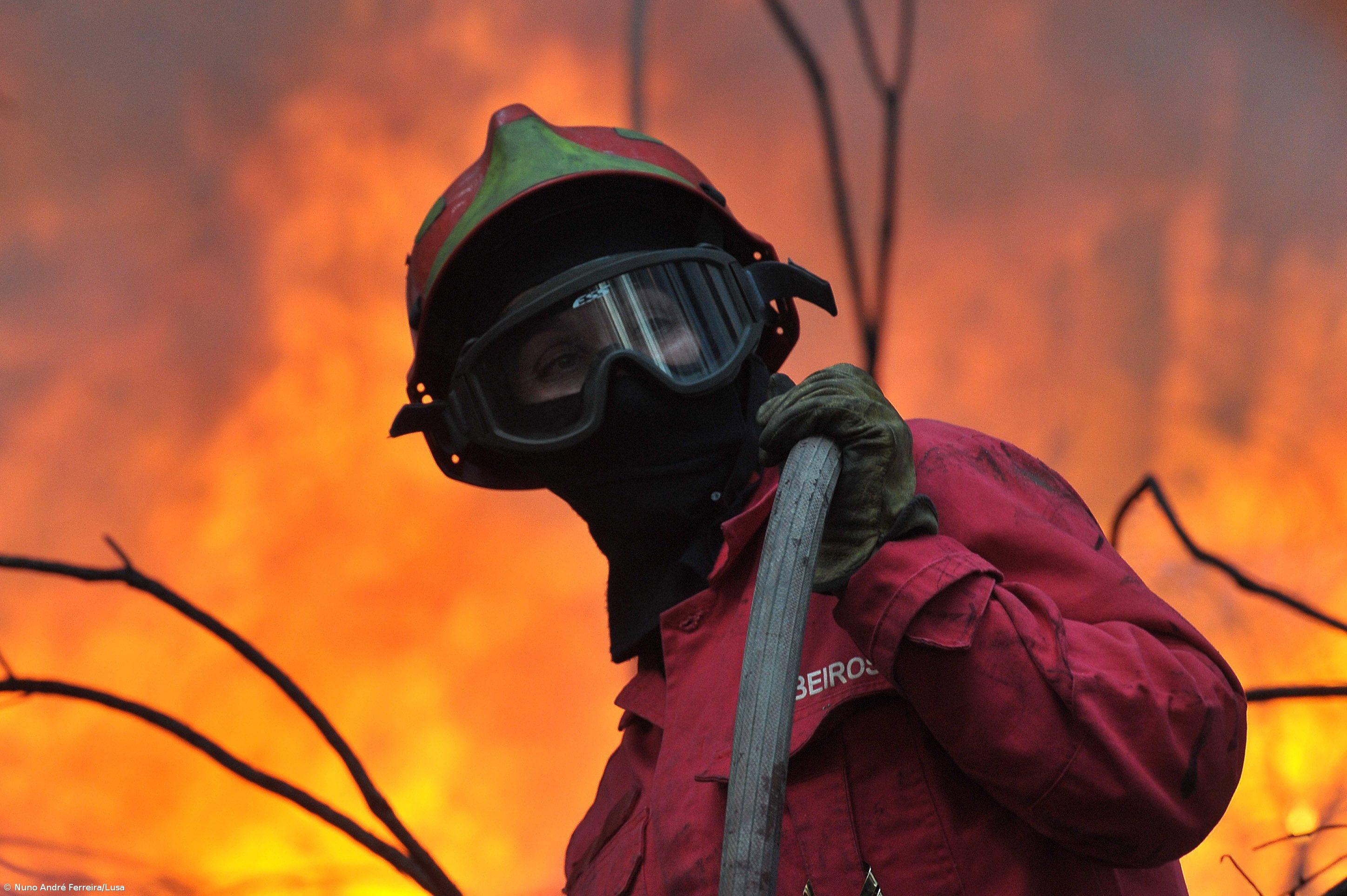  Proteção Civil faz balanço do pior ano da última década em área ardida – Imagem 1