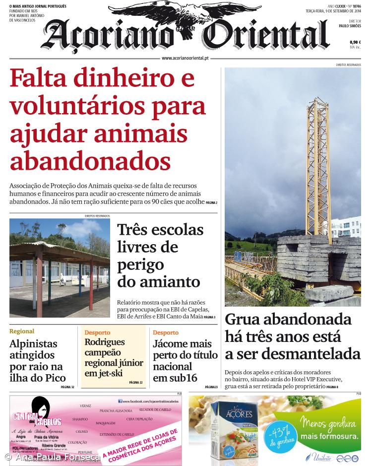 Falta dinheiro e voluntários para ajudar animais abandonados – Imagem 1