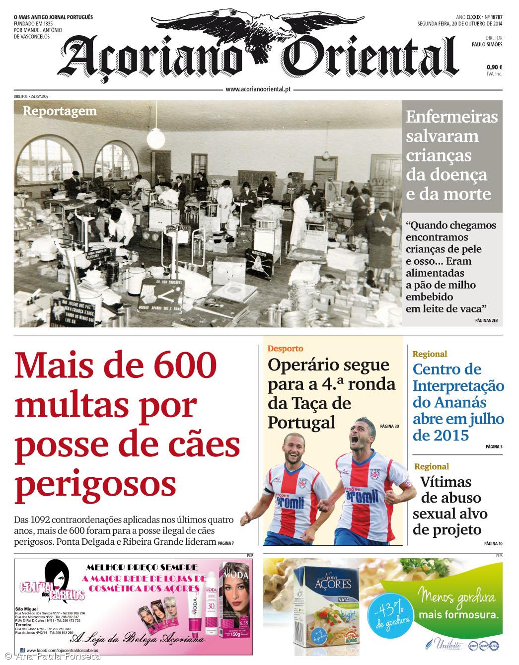 Mais de 600 multas por posse de cães perigosos – Imagem 1