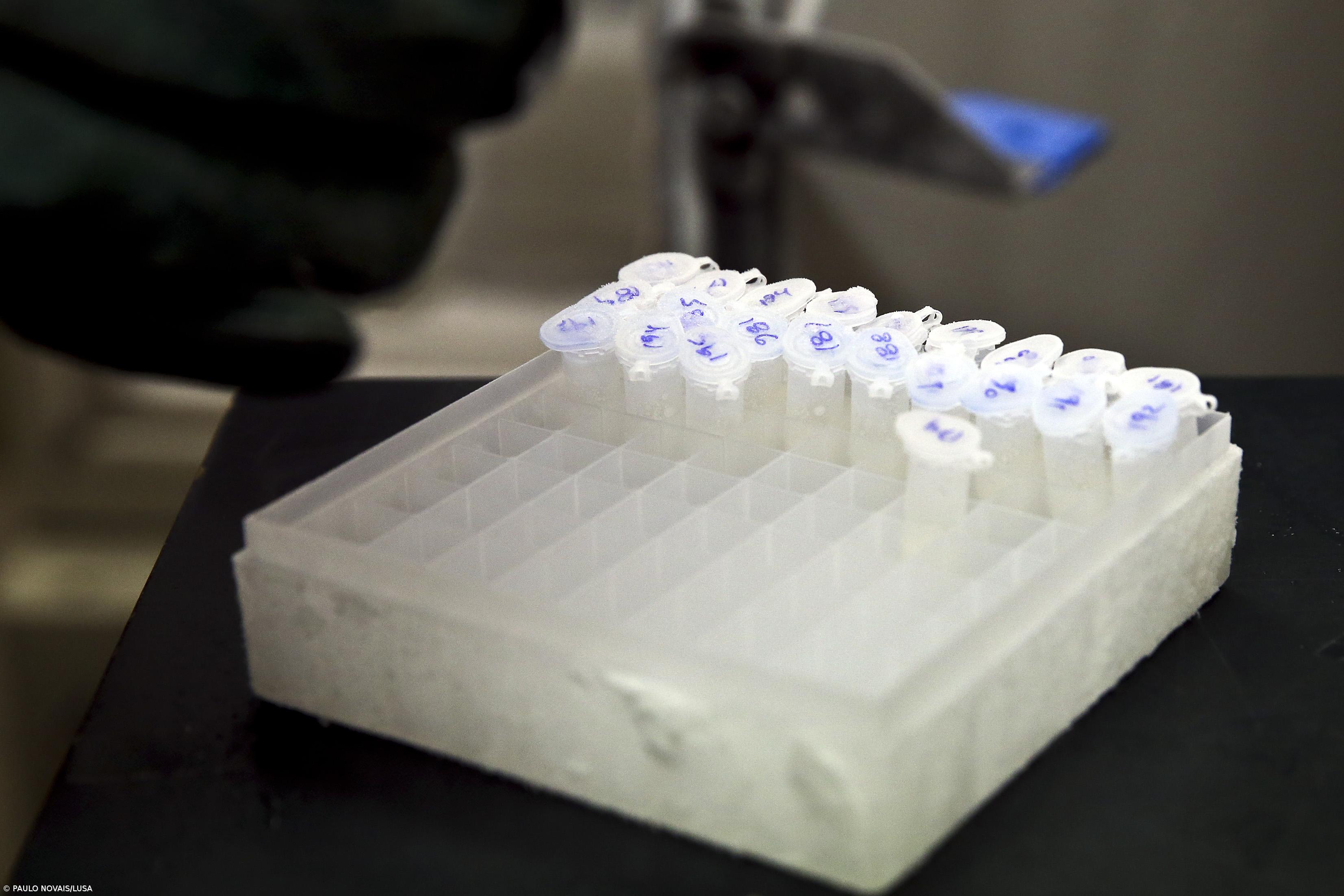 Sobe para 54 o número de infetados com ‘legionella’ – Imagem 1