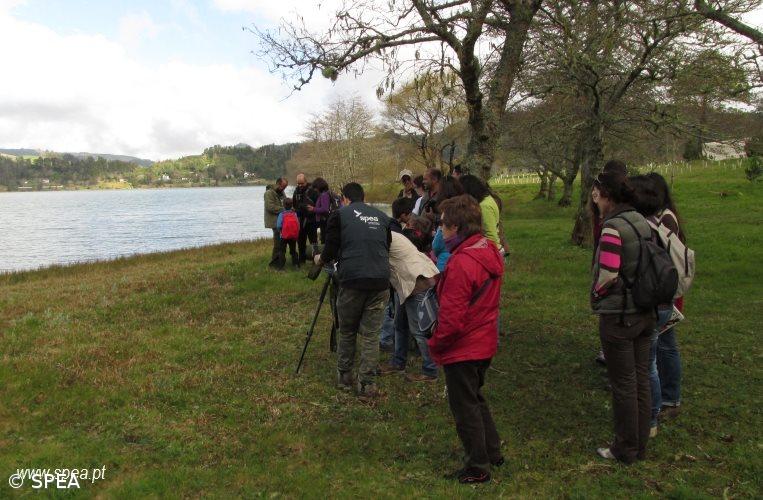 SPEA organiza duas atividades em fevereiro – Imagem 1