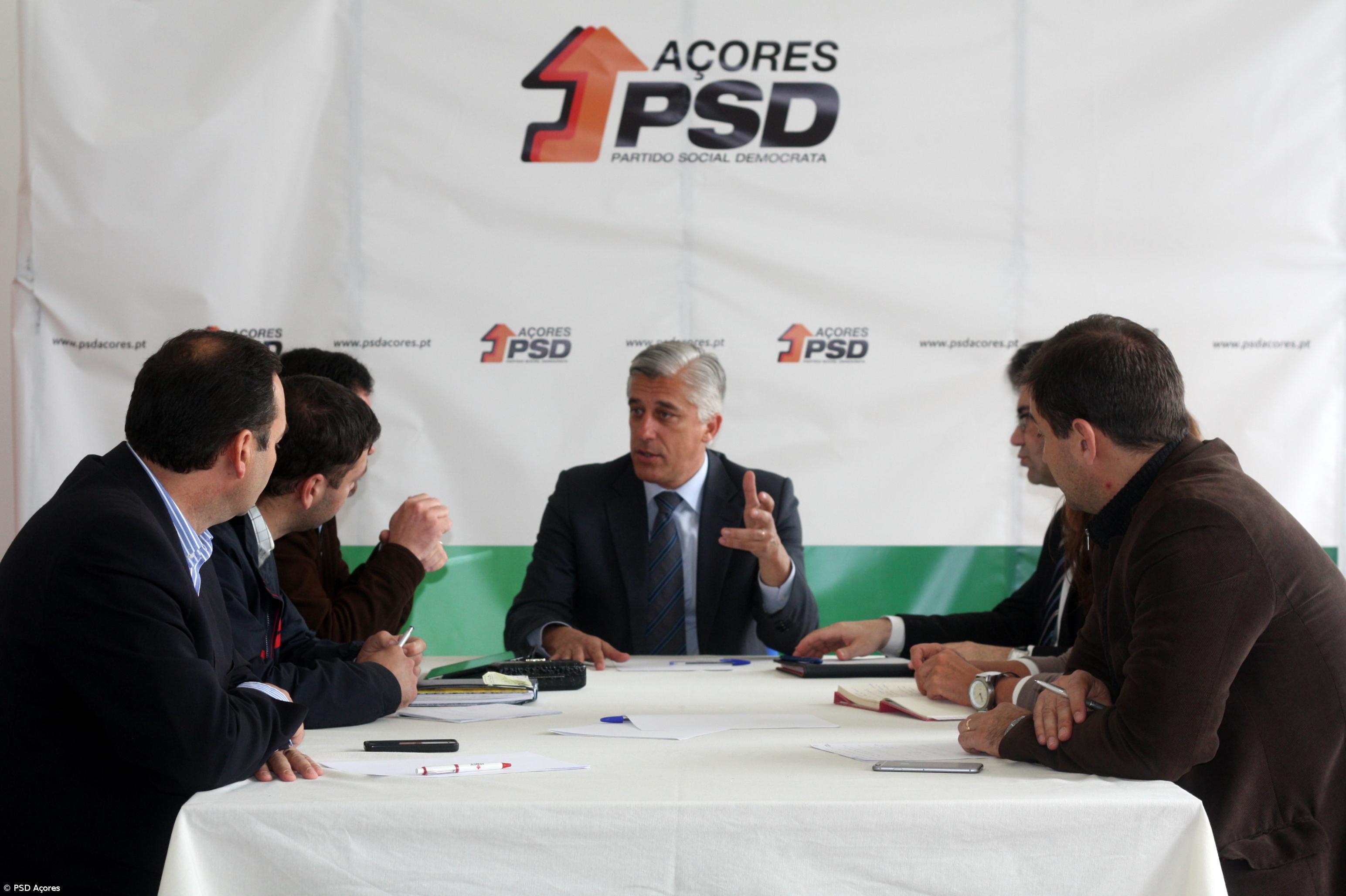 Grupo de trabalho do PSD/Açores vai propor formas de mitigar impacto da redução dos EUA – Imagem 1