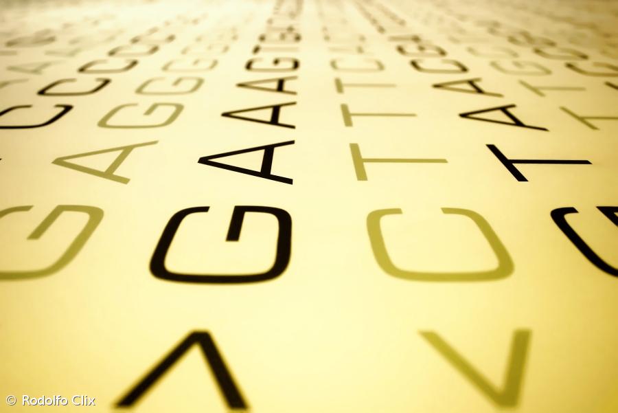 Genes influenciam mais as notas do que pais ou professores – Imagem 1